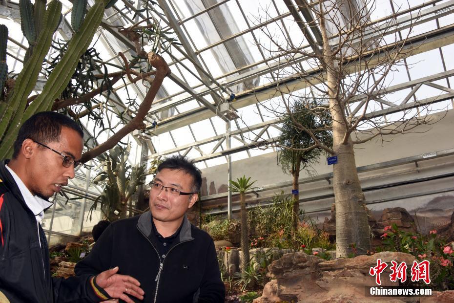 以身償債楊檸檸筆趣閣最新章節