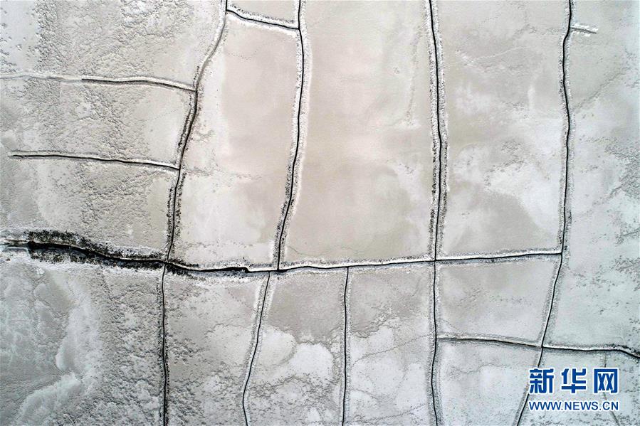 夜晚發(fā)燒體質(zhì)by雞米飯txt