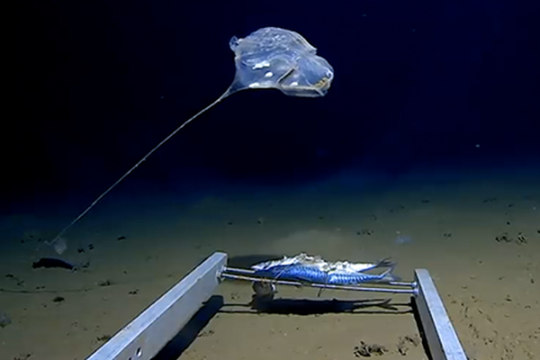 北京折疊txt夸克網盤