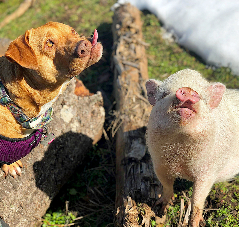 長(zhǎng)夜by積木在線